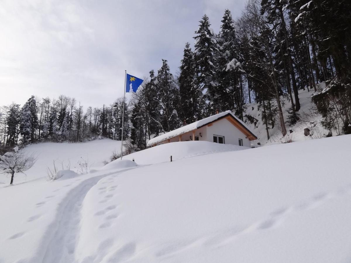 فيلا Haus Am Sternsberg Sternenberg المظهر الخارجي الصورة